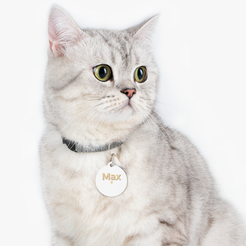 Personalized Round Pet Tag — Custom Name (e.g., Max) with Paw Accent