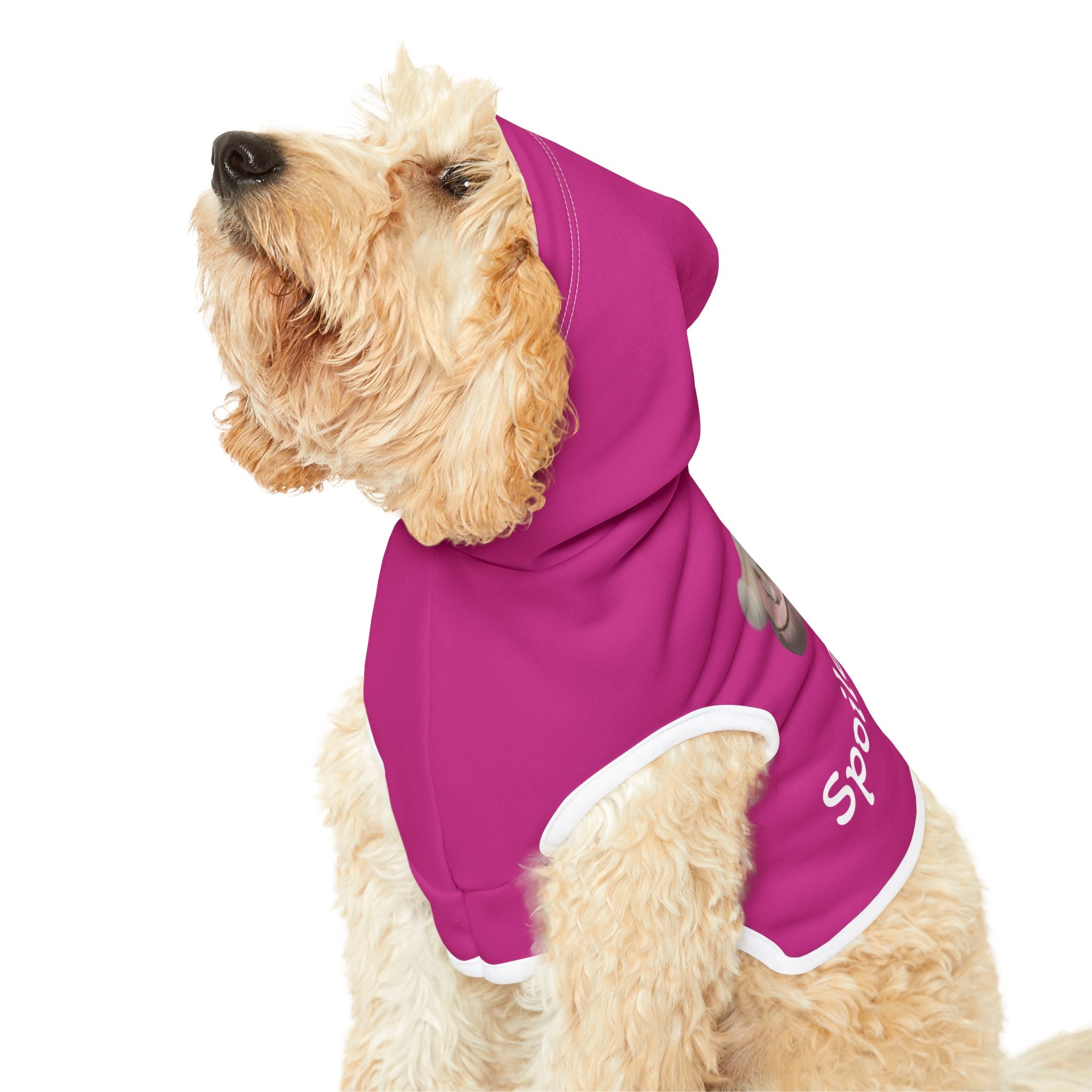 Pet Hoodie — "Spoiled Rotten" Pink Pet Hoodie with Cute Cat Photo