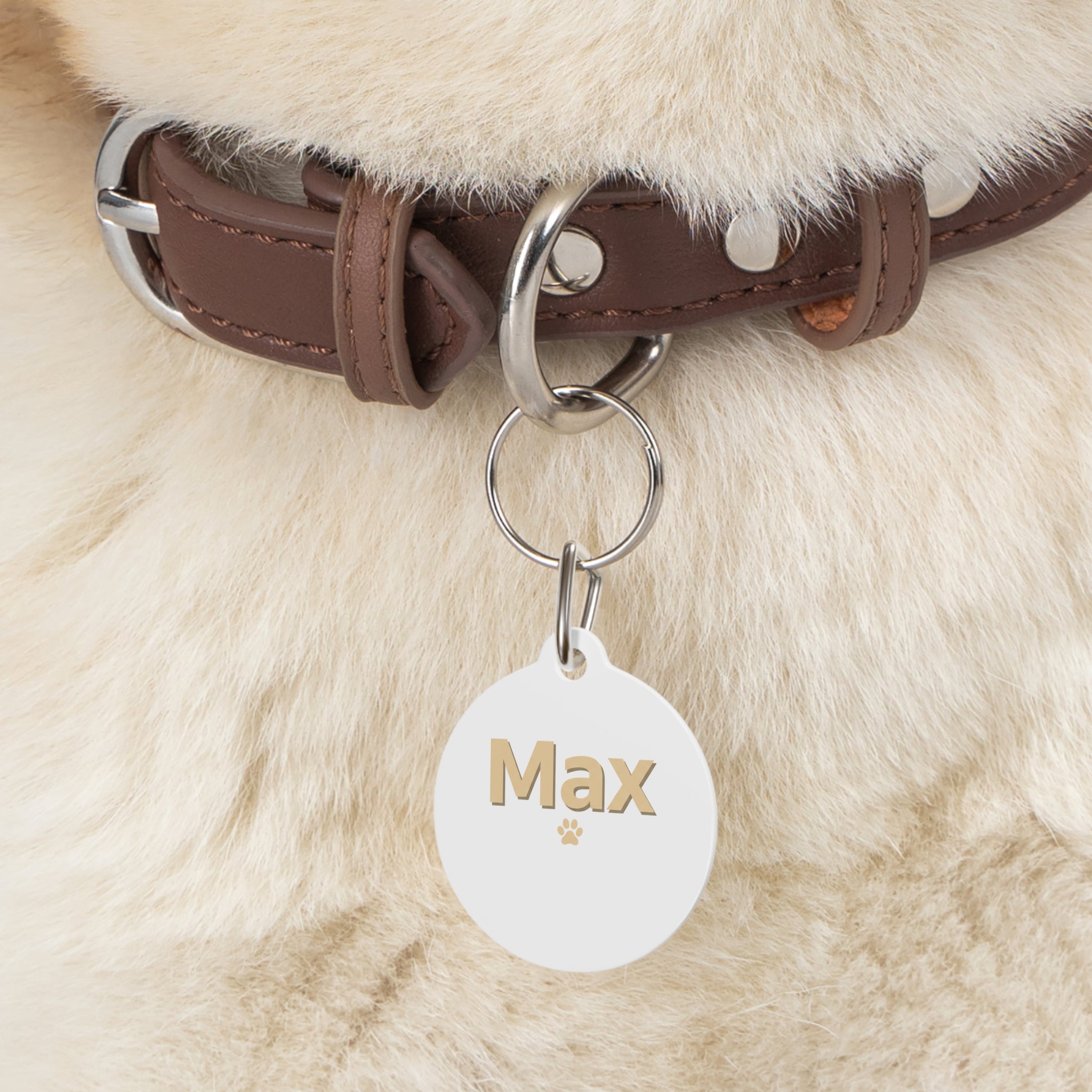 Personalized Round Pet Tag — Custom Name (e.g., Max) with Paw Accent