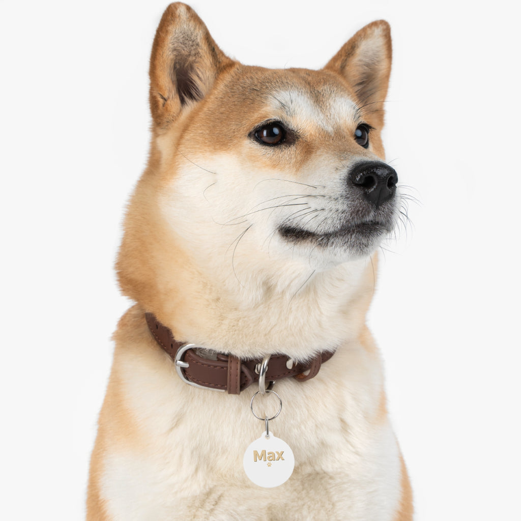 Personalized Round Pet Tag — Custom Name (e.g., Max) with Paw Accent